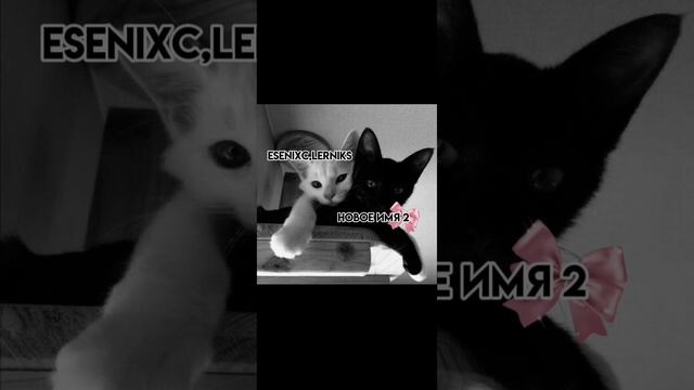 copy_69B13FC4-6E23-4C81-8368-DB282B5BBA57