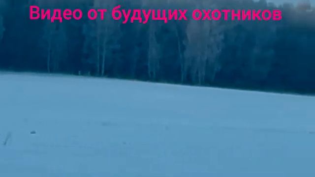 На охоте с будущими охотниками