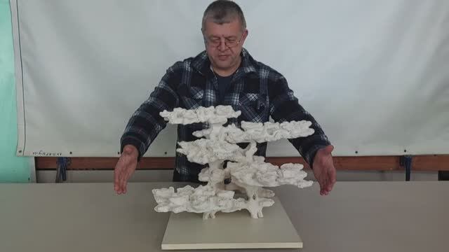 ДФ-351 Декорация из биокерамики