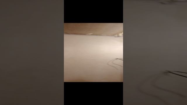 шпатловка стене на стеклохолст