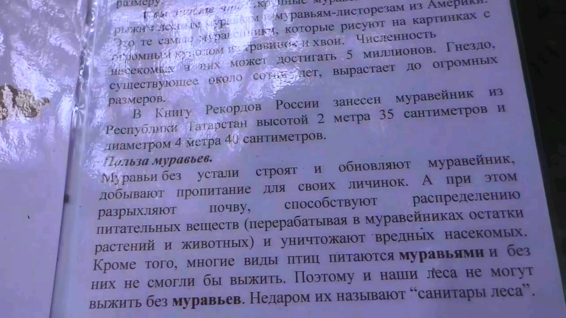 Один из весенних дней