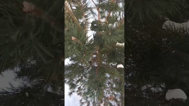 Всем удачной трудовой недели!!!