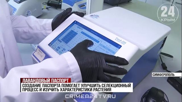 Крымские учёные создают генетические паспорта на эфиромасличные культуры