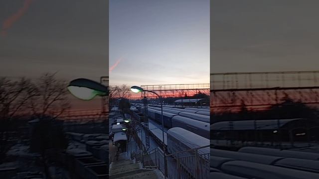 scene_output.mp4