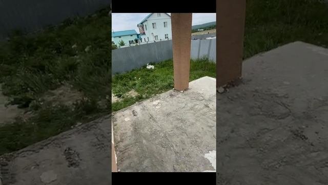 1000056933.mp4