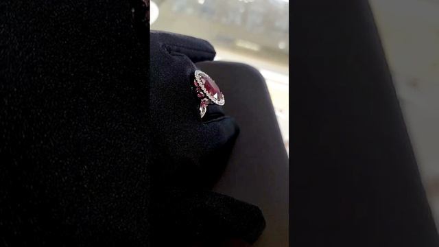 1000174509.mp4