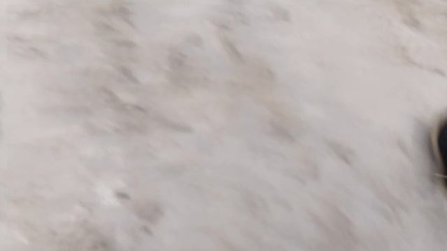 в 19:00