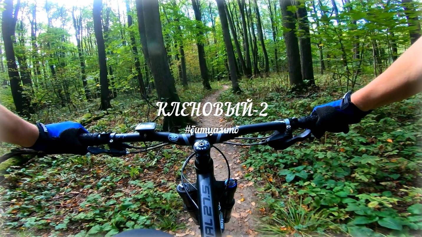Трейл КЛЕНОВЫЙ-2. Битца, сентябрь 2024