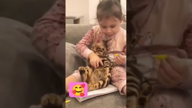 #бенгальскаякошка #бенгал #бенгальскиекотята #бенгальскийкот #дети
