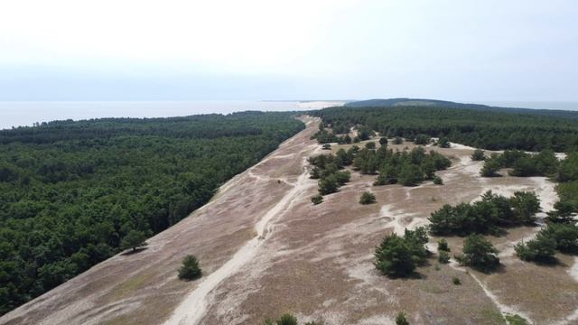 Благоустройство экотроп, июнь 2021 года