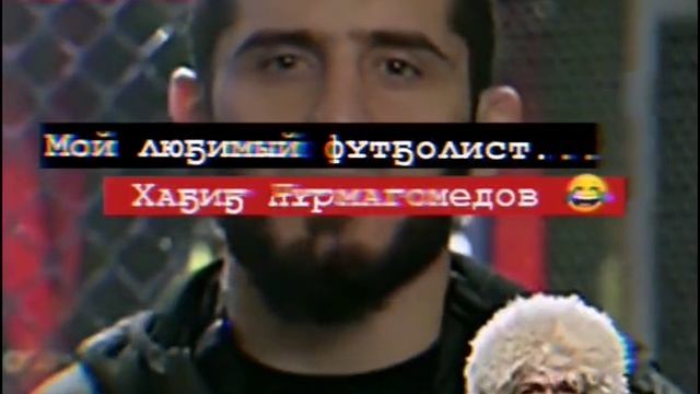 Хабиб😆