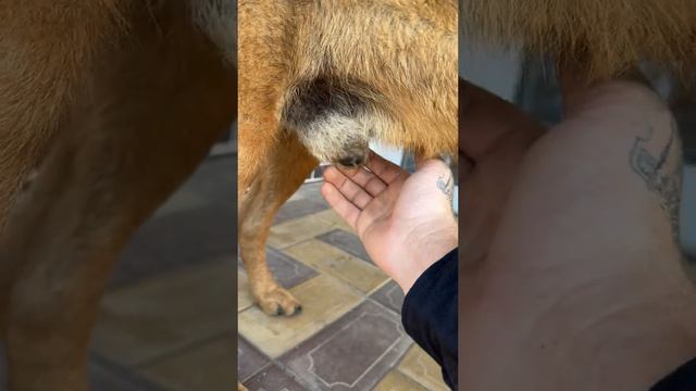 1000065475.mp4