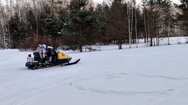 ПРОГУЛКА В ЛЕСУ, КАТАНИЕ НА СНЕГОХОДЕ