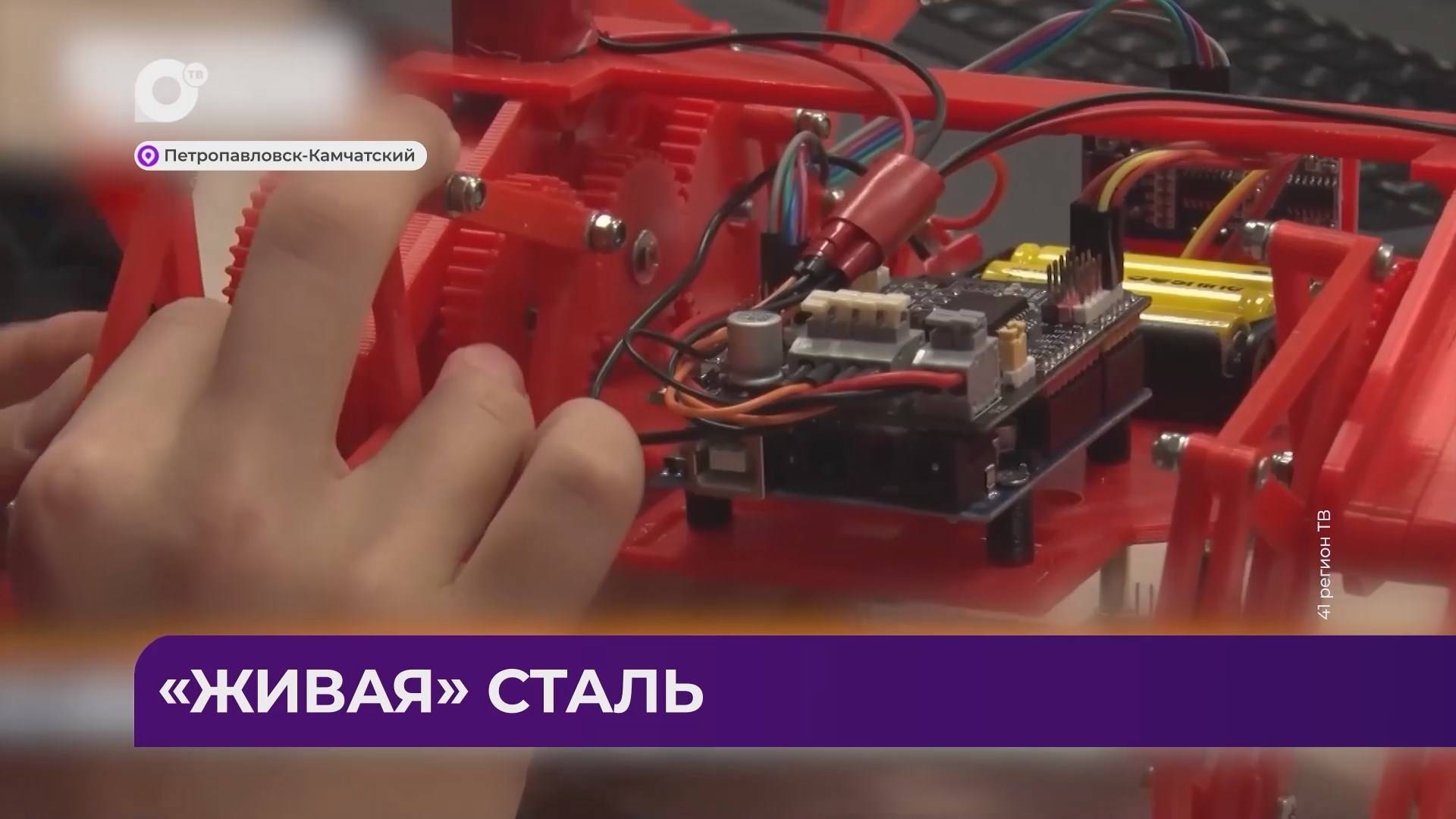 Дальний Восток Блиц / 19.12.24