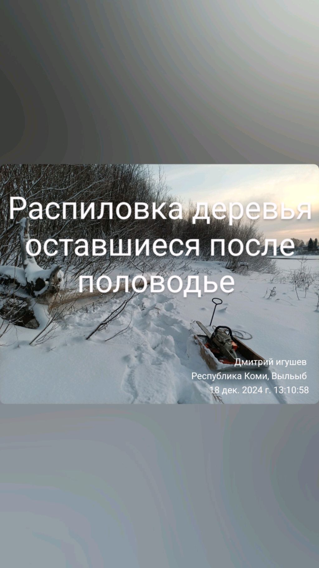 Лживая соседка поставила и выдумывала что Я распили в лесу!