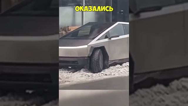 Тесла в России🤣