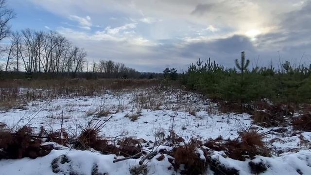 Предлагаем вашему вниманию уникальную возможность приобрести земелvideo5411276115668920230