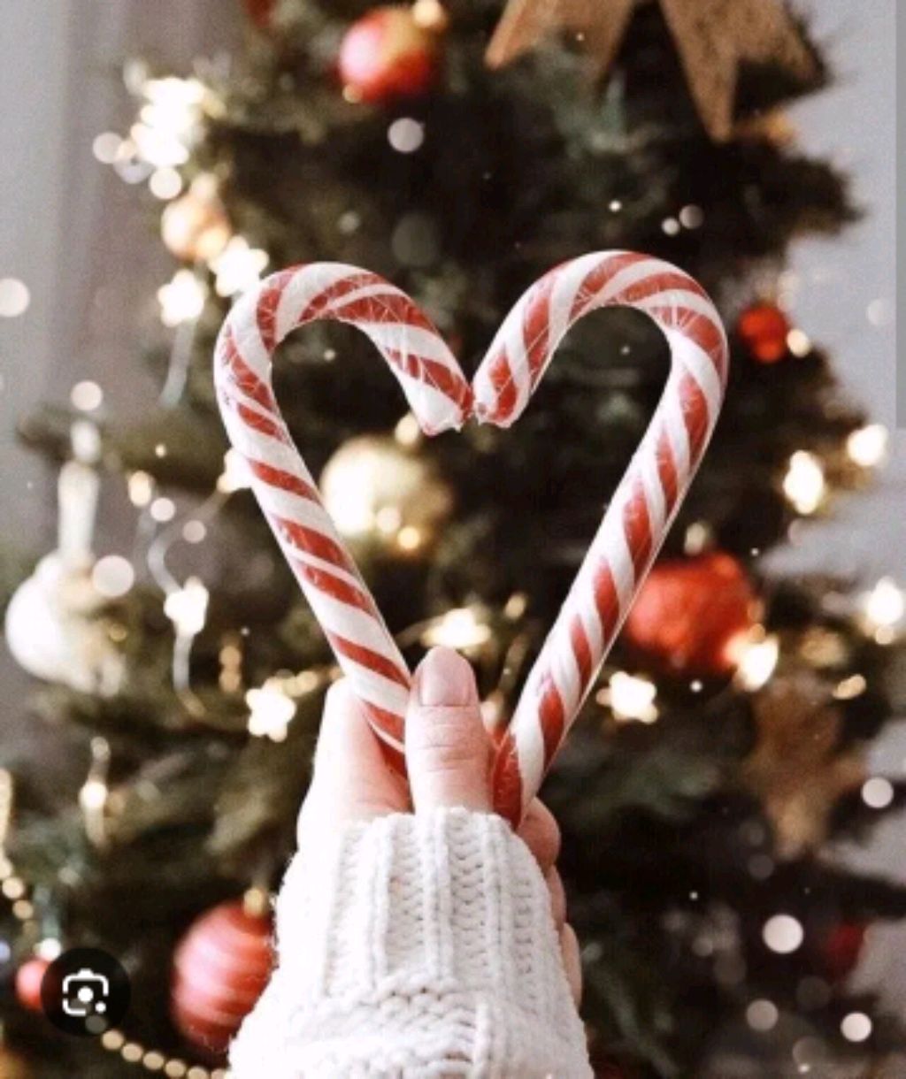 НОВЫЙ ГОД 🎄