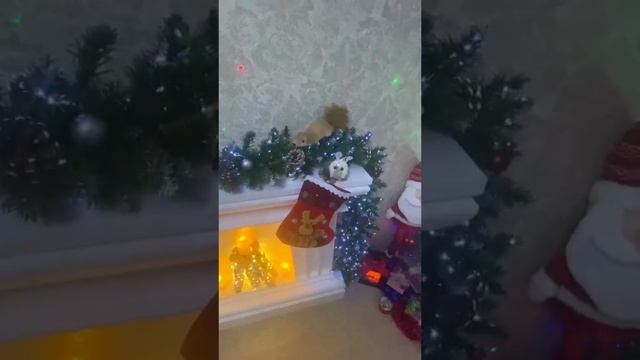 к Новому году готовы