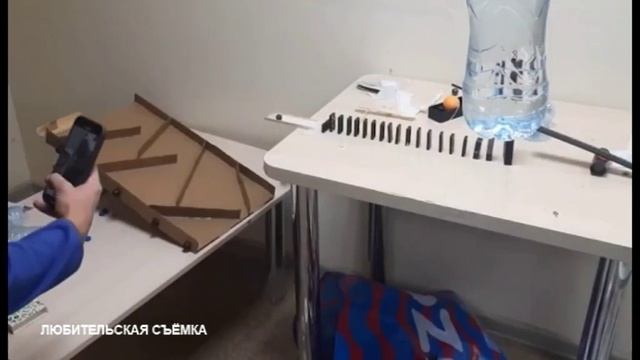 11 зареченских школьников вернулись из «Артека»