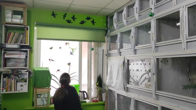 Волонтерские хроники