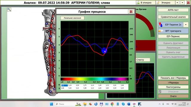 2024-07-24_171303-ПО Дианел®-2.1. обучение работе, значение Графика, Спектра, Холистический подход