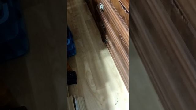 стенка