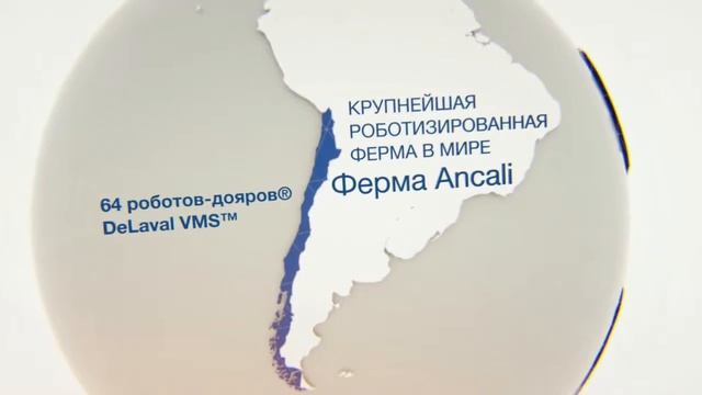 Робот дояр® ДеЛаваль VMS™  10 лет успеха