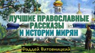 Лучшие православные рассказы и истории мирян... Фаддей Витовницкий