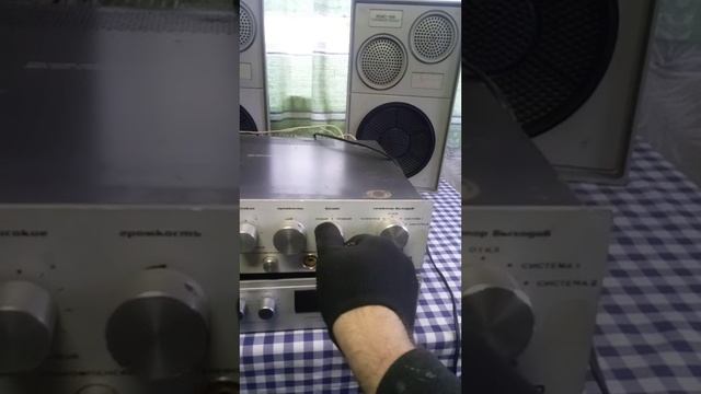 Барк 001.webm