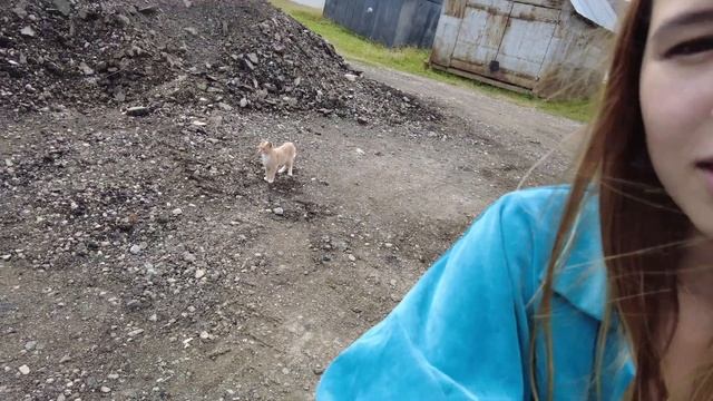 Переехали в деревню? Кринжовые коровы и песни под гитару❤️