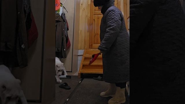АЛАБАЙ КАЙ 3