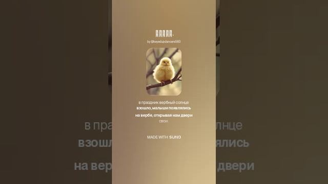 _Верба. (1)