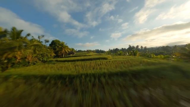 GoPro： Travel Indonesia by FPV Drone ｜ Coffee Break