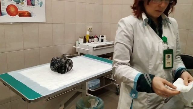Первый пошел! Снегирь Жу