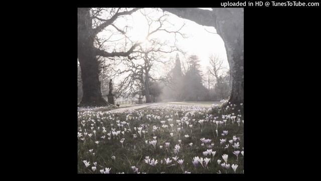 WHITEPUNK + AMBIENT TYPE BEAT +die in lie+ || prod. floxx.