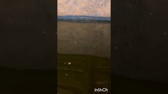 Моё мини УЗВ