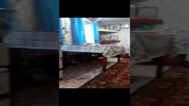 VID_20241119_152835.mp4