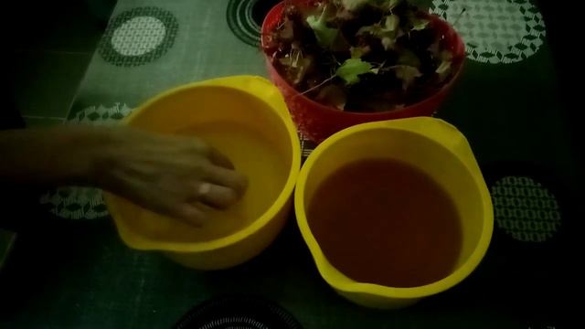 Определяем готовность щелока.