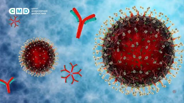Антитела к коронавирусу SARS-CoV-2 (COVID-19)