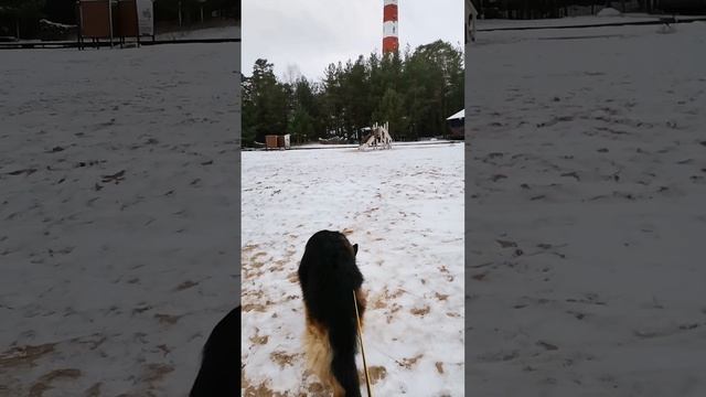 Омар и Ладога.