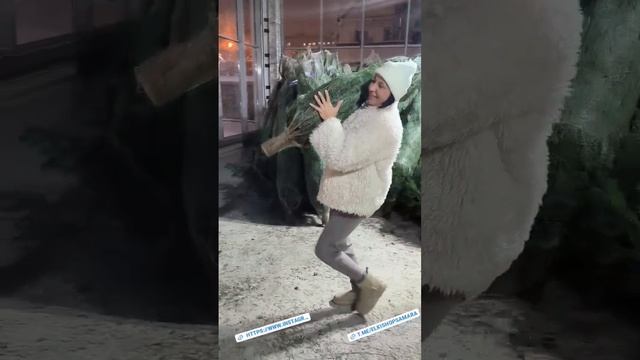 19-12-2024 Пихта из Дании