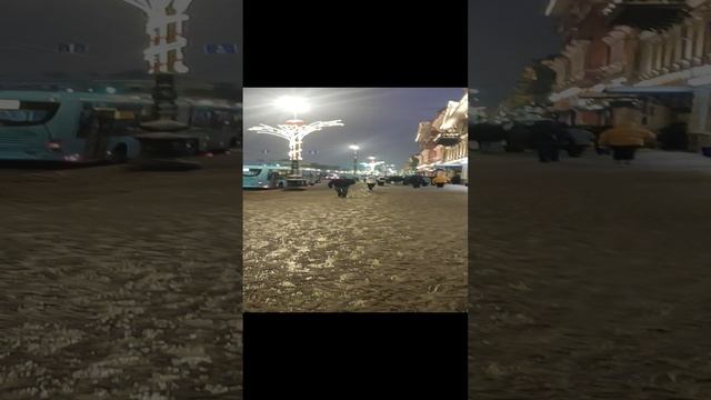 VID_20241219_163331.mp4