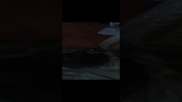 1000379146.mp4