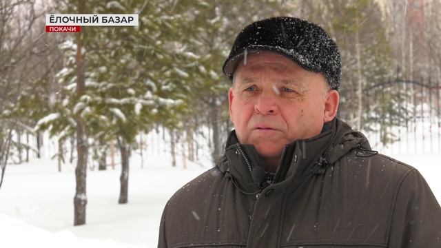 В Покачах открылся ёлочный базар