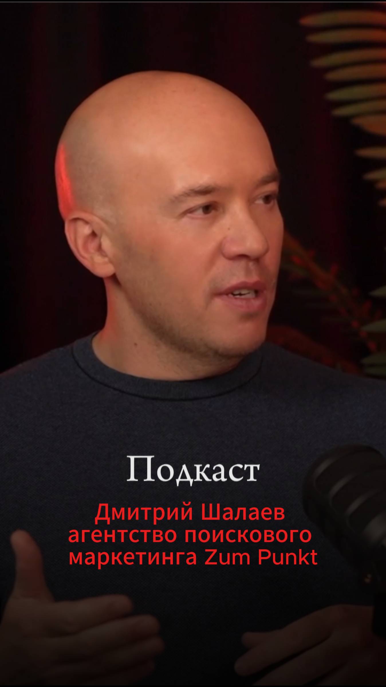 Как заранее занять топовые позиции ВБ и Ozon для сезонных товаров. Подкаст Дмитрия Шалаева Zum Pun