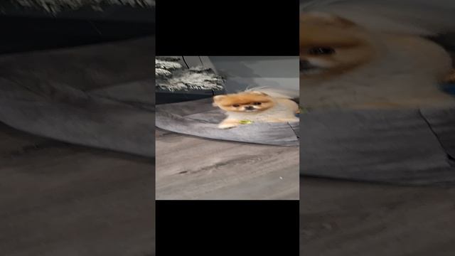 1000095274.mp4