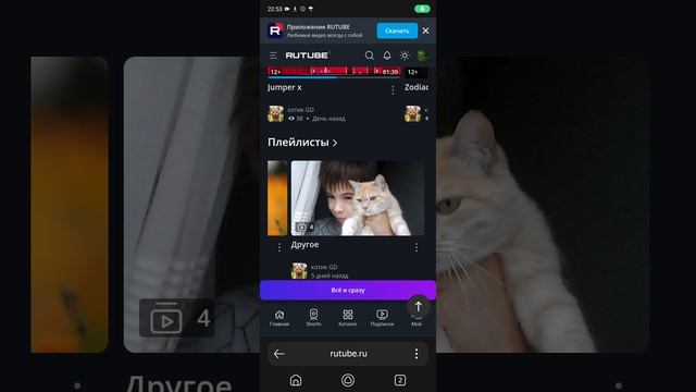 @котик GD   спалил своё лицо 😱
