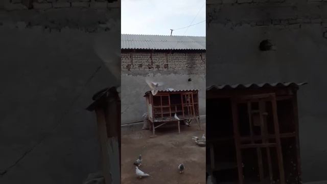 энг зорлари