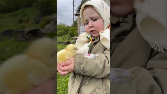 Миленький, маленький, хорошенький #ЯжеВика